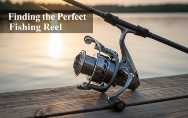 Finding the Perfect Fishing Reel for Your Needs