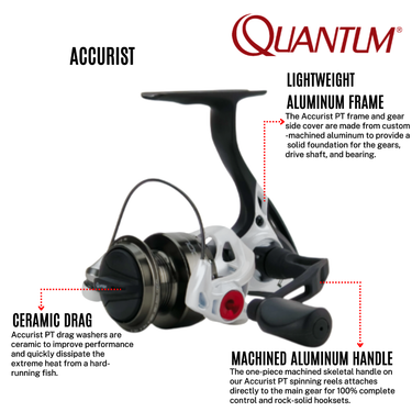 QUANTUM - ACCURIST PT - 8BB AC15/AC30 PTiA - ALUMINUM BODY SPINNING REEL