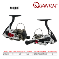 QUANTUM - ACCURIST PT - 8BB AC15/AC30 PTiA - ALUMINUM BODY SPINNING REEL