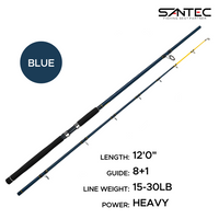 SANTEC - NESSY GRAPHITE 2 SECTION SPINNING FISHING ROD