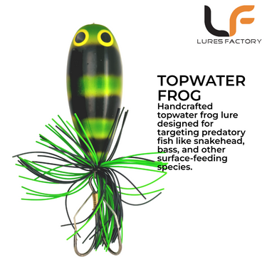 LURESFACTORY - MF BIG BOB 7.5cm 26.5g HARDBODY LURE TOPWATER