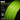 XBRAID YGK - UPGRADE X8 GP TUNED 200M PREMIUM PE BRAIDED LINE MADE IN JAPAN