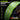 XBRAID YGK - UPGRADE X8 PENTAGRAM 300M PREMIUM PE BRAIDED LINE MADE IN JAPAN