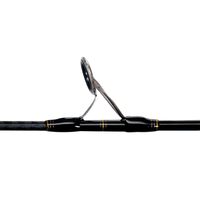 Bossna Stanger VS Spinning Jigging Rod Series
